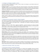 Estrategia o estrategias escogidas y motivo