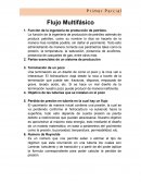 Flujo Multifásico