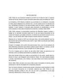 Proyecto smart mercadotecnia. Little Cotton