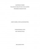 ENSAYO SOBRE LA REVOLUCIÓN INDUSTRIAL