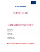 Reporte Indicadores Productividad FEDER