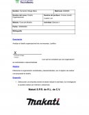 Ejercicio 1 Diseño Organizacional