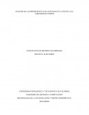 Análisis de las problemáticas planteadas en la película El cortador de césped