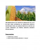 Proyecto de maiz