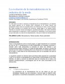 La evolución de la mercadotecnia en la industria de la moda