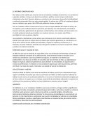 EL ENTORNO CONSTRUIDO HOY