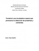 Construir una incubadora casera que promueva la obtención de proteínas y nutrientes