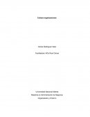 Componentes de la cultura organizacional