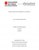 DERECHOS BASICOS DE APRENDIZAJE Y EL CURRÍCULO