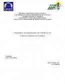 TABLEROS AGLOMERADOS DE PARTÍCULAS Evolución. Parámetros de la Madera