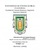 Como hacer citas y referencias en formato APA (RH)