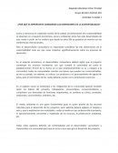 ¿Por qué es importante considerar las dimensiones de la sustentabilidad?