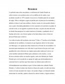 Resumen Conferencia de Nando Parrado