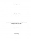 Plataforma Estratégica Del Grupo Éxito