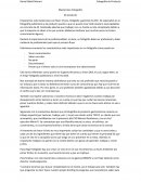 Fotografía de producto