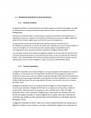 Tratamiento de aguas residuales