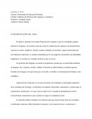 Fundamentación del área-practicas del lenguaje