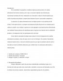 Elaboracion de un manual BPM