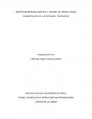 IDENTIFICAR MERCADO OBJETIVO Y SISTEMA DE RIESGO SEGÚN SEGMENTACIÓN DE LAS ENTIDADES FINANCIERAS