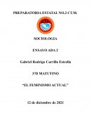 El movimiento feminista actual: Orígenes, características y la lucha por la igualdad