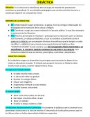 DIDACTICA RESUMEN ORIENTADOR