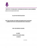 QUÉ TAN FACTIBLE ES PONER UN DESPACHO DE AUDITORIA ADMINISTRATIVA EN SAN BUENAVENTURA CHIHUAHUA