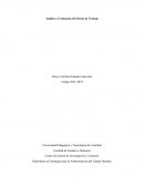 Análisis y Evaluación del Puesto de Trabajo