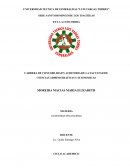 Informe de Cumplimiento Tributario ICT