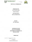 PRÁCTICA No. 9 PERMEABILIDAD