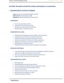 Perfil de Puesto de Trabajo Gerente Comercial B2B