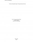 Informe de Resultados Según Los Requerimientos del Cliente