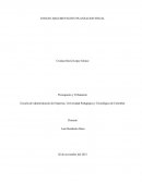 Ensayo planeacion fiscal