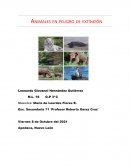 Animales en peligro de extinción