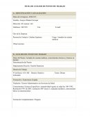 FICHA ANALISIS PUESTO DE TRABAJO