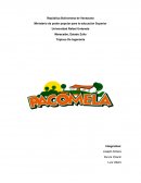 Empresa: Agro industrias lácteos Pacomela C.A