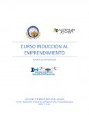 Induccion al emprendimientos