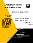 PRACTICA REACCIÓN QUÍMICA