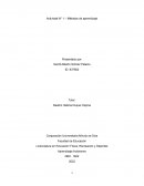 INFOGRAFIA - ESTILO Y METODOLOGIA EN EL PROCESO DE APRENDIZAJE