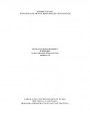 ESTRATEGIAS DE PREVENCION DE RIESGOS TECNOLOGICOS