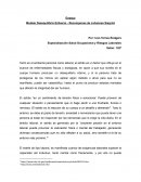 Ensayo - Modelo Esfuerzo Recompensa de Siegrist
