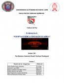 RESEÑA CRITICA CINEMATOGRAFICA