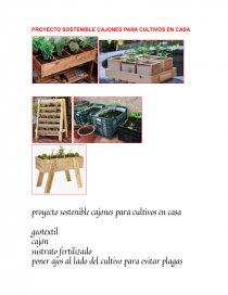 PROYECTO SOSTENIBLE CAJONES PARA CULTIVOS EN CASA. Página 1