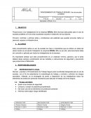 Procedimiento de trabajo seguro uso de escalas portatiles