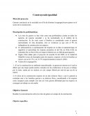 Construyendo igualdad Meta del proyecto