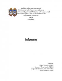 Gerencia de la informática. Página 1