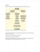 Secadores de bandeja , secador de lecho fludizados ( alimentos solidos y húmedos)