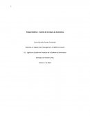 Logística y Gestión de Procesos de la Cadena de Suministros