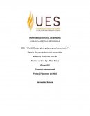 Comportamiento del consumidor. Comercio Internacional