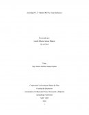 Lineamientos Educacion Fisica