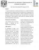 Elaboracion de calorimetro y determinacion